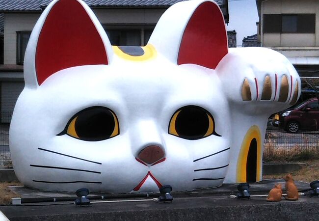 とこなめ見守り猫 とこにゃん 招き猫通り クチコミ アクセス 営業時間 常滑 セントレア 中部国際空港 フォートラベル
