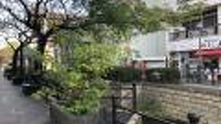 植え込みやベンチなどが整備されています