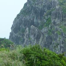 背後の岩山と重なって判りにくい