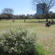 都市緑化植物園を見に行きました