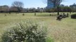 都市緑化植物園を見に行きました