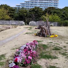 向こうにそびえ立つ美浜のマンション群～すぐとなりよ！