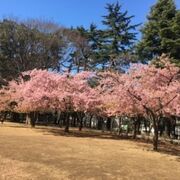 子どもは冒険気分を味わえるかも