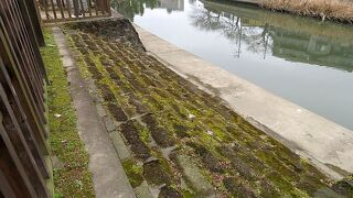 草加松原の南端に