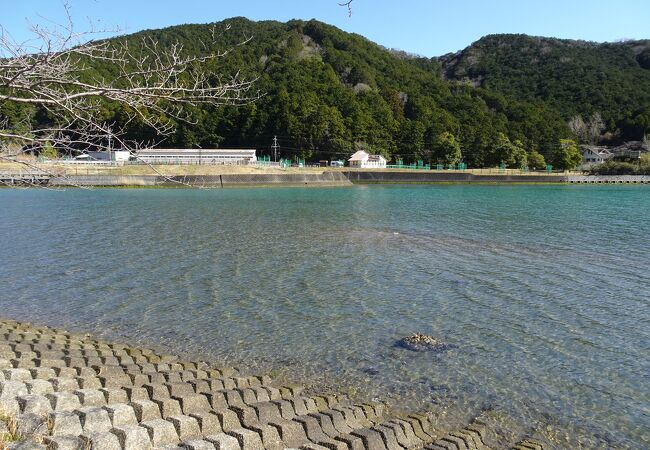 道の駅に隣接する汽水の池（片上池）