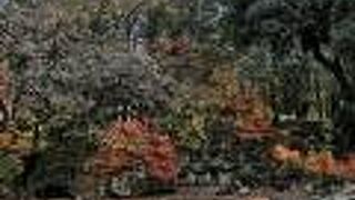 公園自体は普通