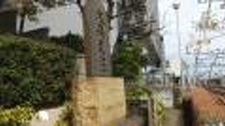 京浜東北線の車窓からも見える