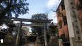 大森貝塚の碑の向かいあたりにある神社