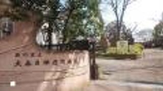 起伏のある広い公園は遊び場にぴったり