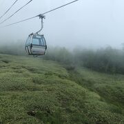 雲の上まで空中散歩