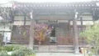 様々な植物がみられる境内