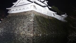 城好きにはイマイチ人気無い城