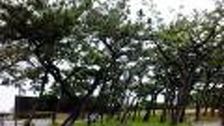 びゅうもんのとなりに有ります。