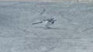 ニューオープン