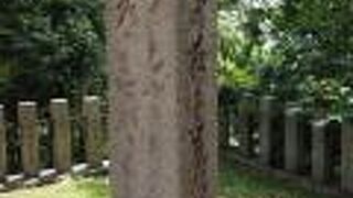 境内に句碑があります。