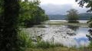 小島へも渡れます