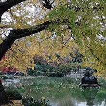 紅葉がキレイだった