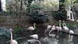 無料のミニ動物園