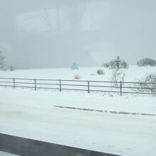 冬は一面の雪原になっています