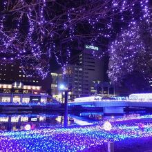 勝山公園側のイルミネーション 