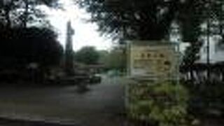 人工芝の広場や水遊び場、遊具のあるエリア