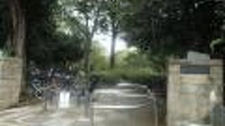 広く緑多い敷地は有料の庭園のよう