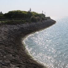 海岸です