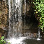 シンガポール植物園