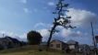 住宅街の中にあります