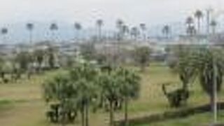 超短い路線なのよ