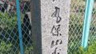 フェンスできちんと囲まれています