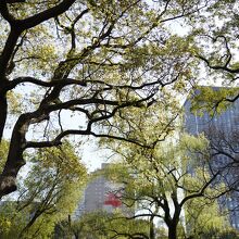 都心のオアシス