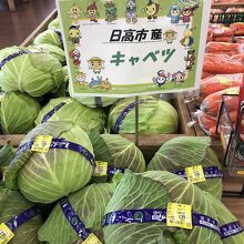 日高産キャベツ