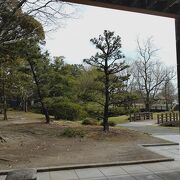 動物園、遊園地、公園の要素あり