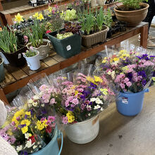 花は生活必需品だなぁ