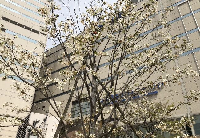 警固公園 クチコミ アクセス 営業時間 博多 フォートラベル 警固公園 クチコミ アクセス 営業時間 博多 フォートラベル