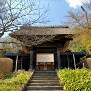 ３００年前に建てられた重要文化財に指定されている山門・本堂・鐘楼は見応えあります。