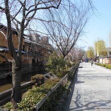 祇園新橋伝統的建造物群保存地区を流れる白川