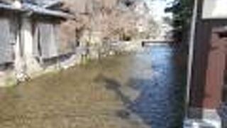 祇園を流れる美しい川