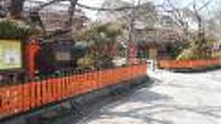 美しい白川沿いの通