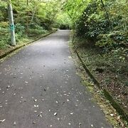 大涌谷へは行けないが・・・