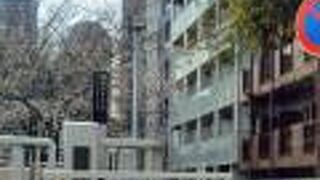 隅田川テラスのさくら