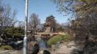 サンシュユが綺麗でした。