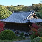 駅からの往路は迂回路だと上り坂なく楽でした。