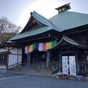 今年は桜がまだ早かった