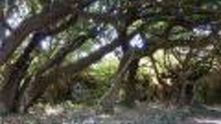 酒造所では有りません