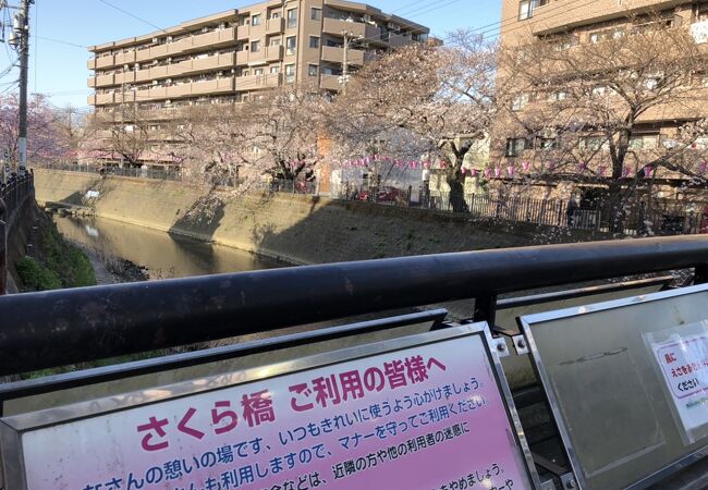 弘明寺商店街 クチコミ アクセス 営業時間 東神奈川 保土ヶ谷 弘明寺 フォートラベル