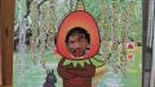 黒潮の森マングローブパークに隣接