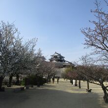 松山城