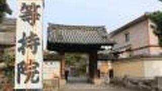 足利将軍家の菩提寺　歴史好きには必見のお寺